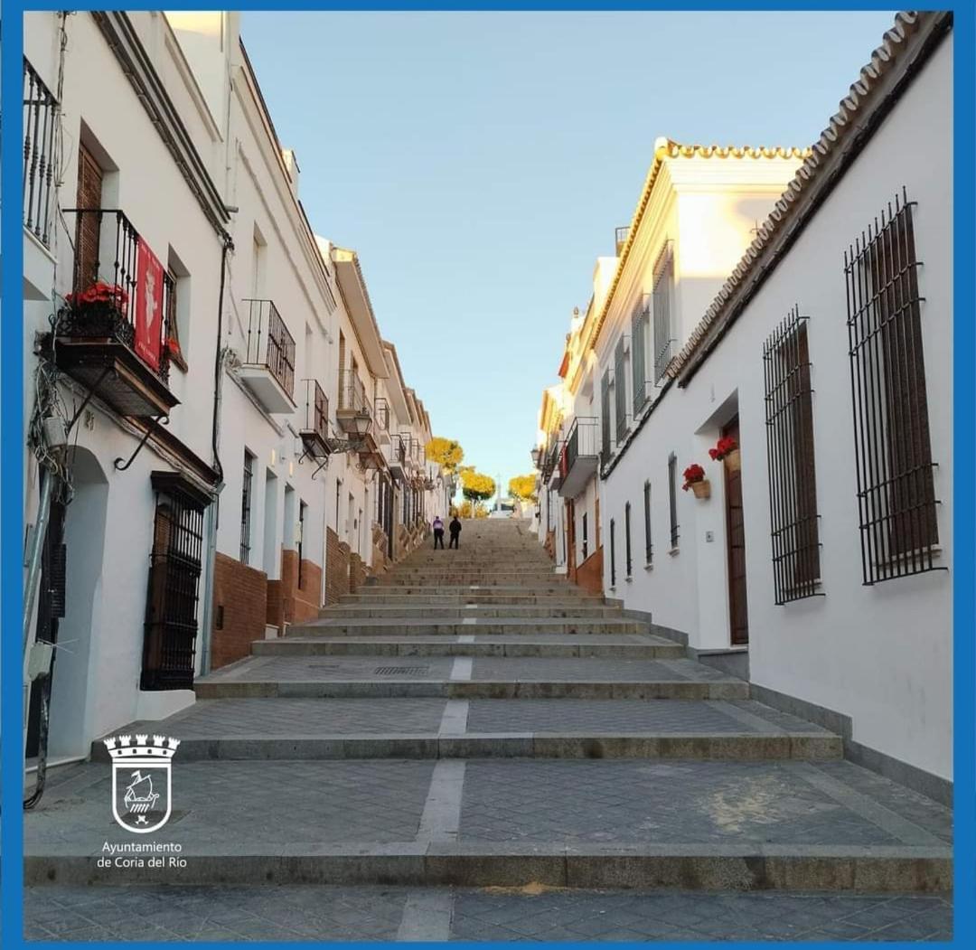 Habitacion Amplia Y Luminosa Coria del Río エクステリア 写真