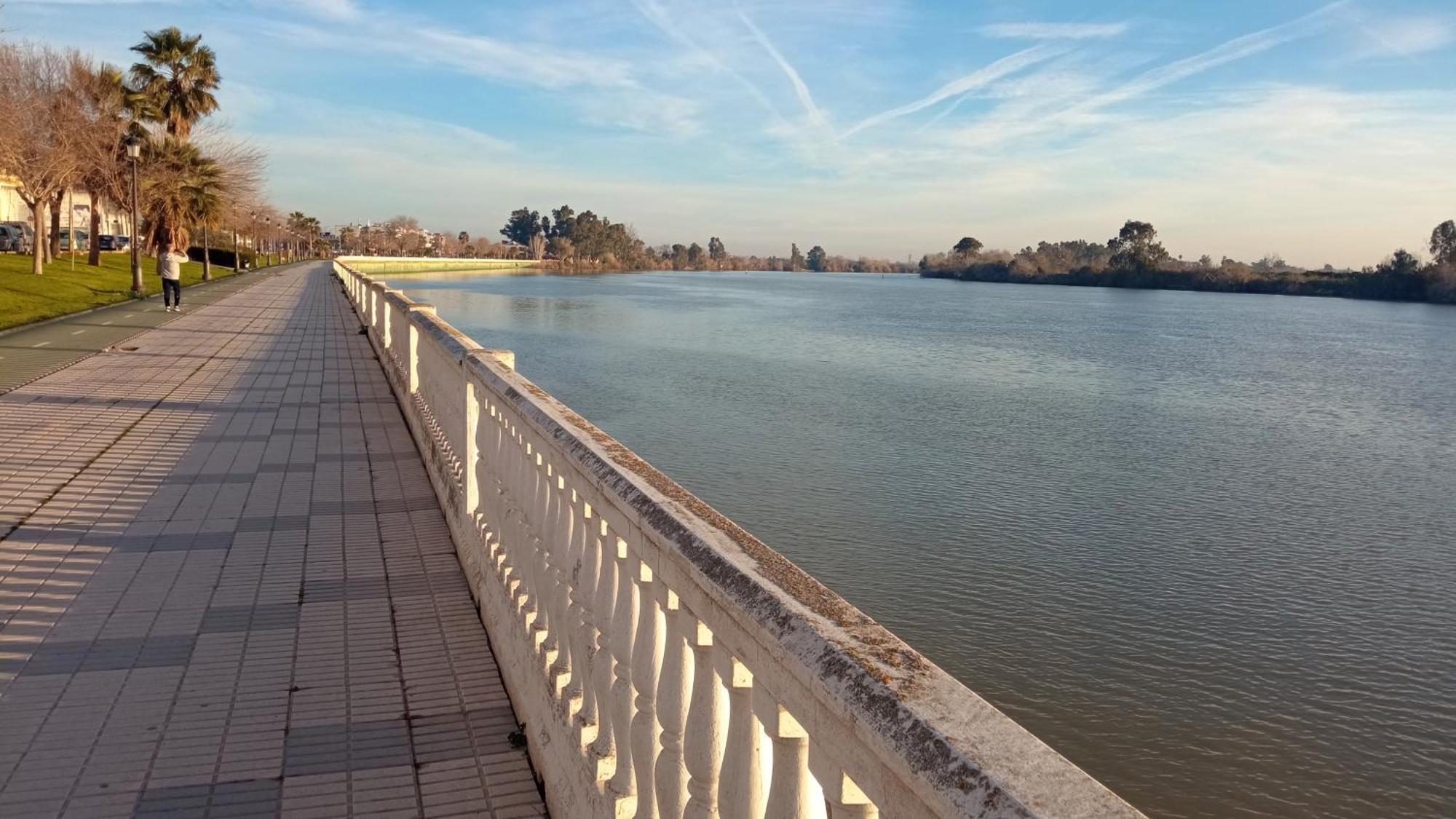 Habitacion Amplia Y Luminosa Coria del Río エクステリア 写真