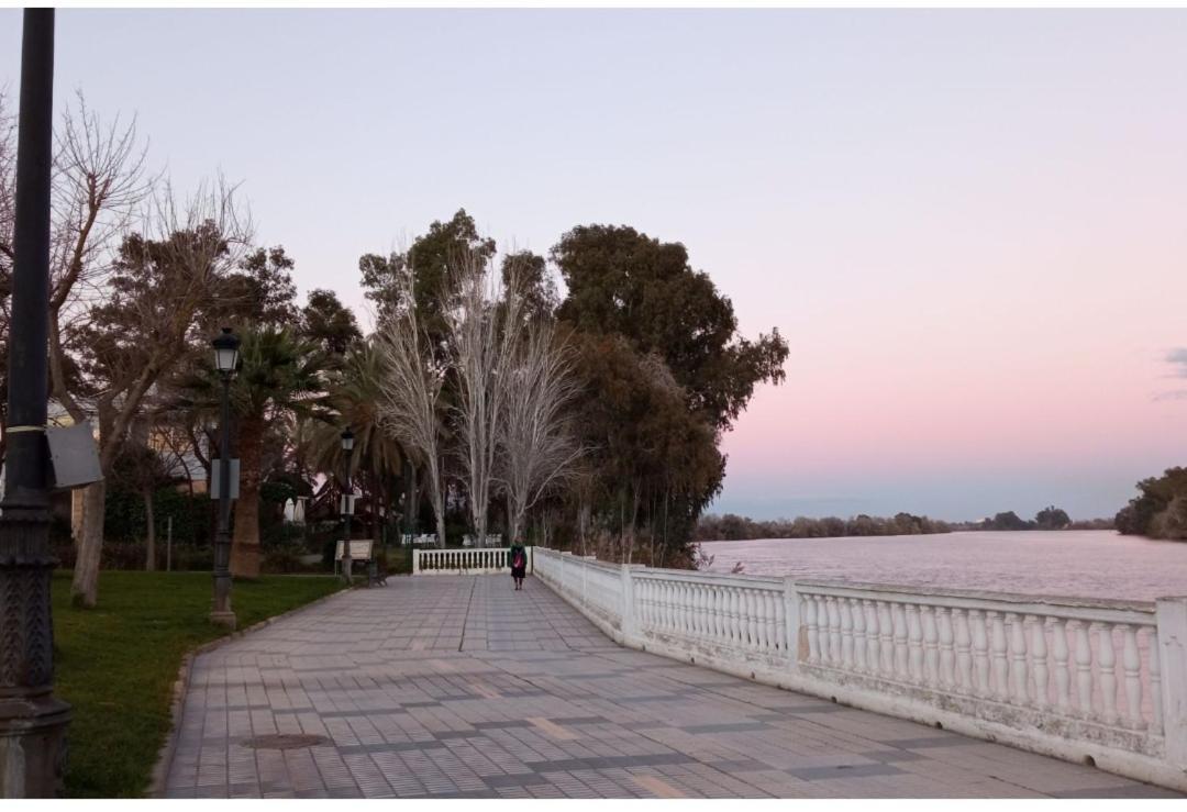 Habitacion Amplia Y Luminosa Coria del Río エクステリア 写真
